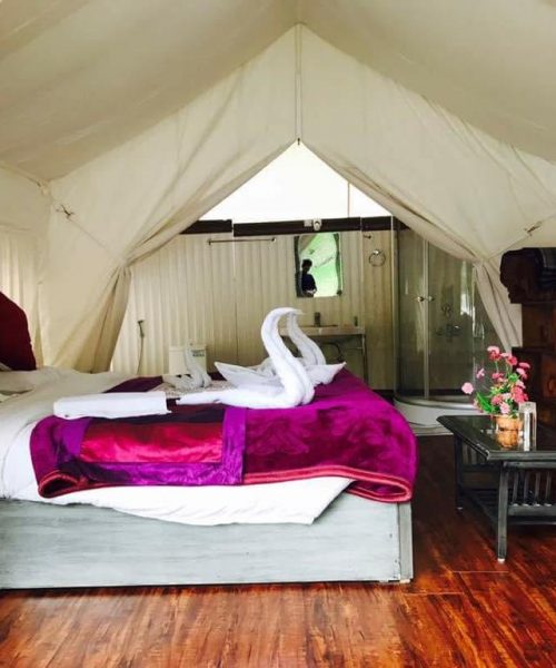 WhatsApp Image 2021-02-24 at 5.08.05 PM (1)