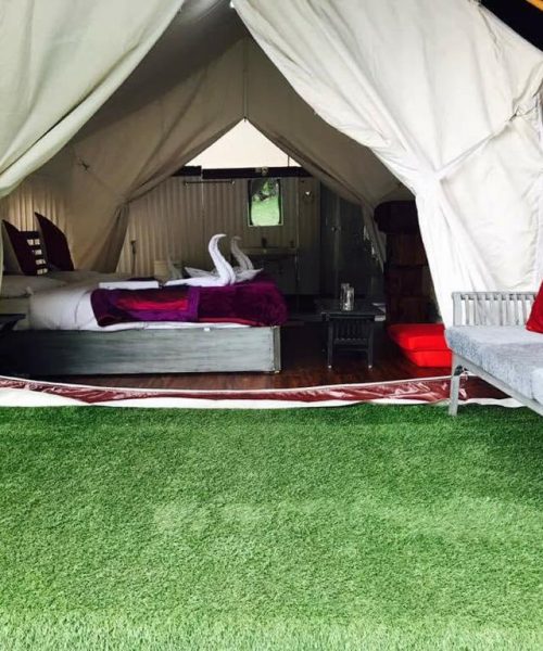 WhatsApp Image 2021-02-24 at 5.08.05 PM