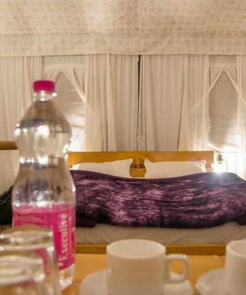 WhatsApp Image 2021-02-24 at 5.08.07 PM