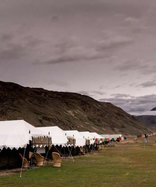 WhatsApp Image 2021-02-24 at 5.08.09 PM (1)