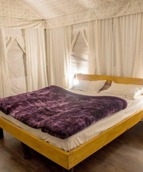 WhatsApp Image 2021-02-24 at 5.08.09 PM