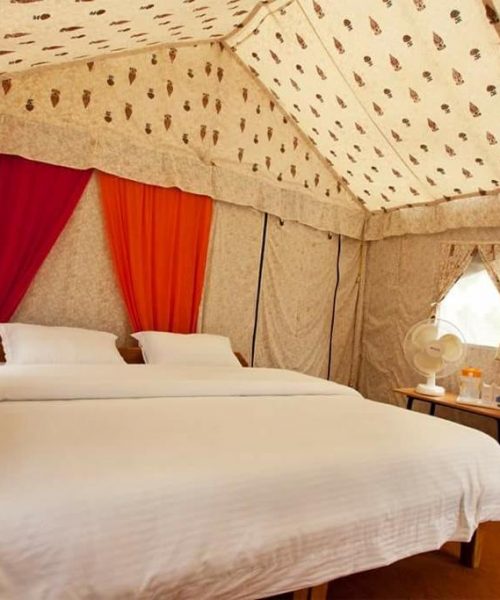 WhatsApp Image 2021-02-24 at 5.08.11 PM (1)