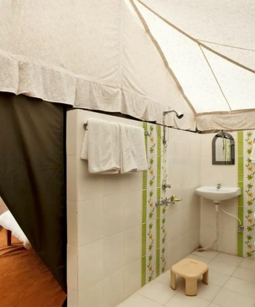 WhatsApp Image 2021-02-24 at 5.08.11 PM